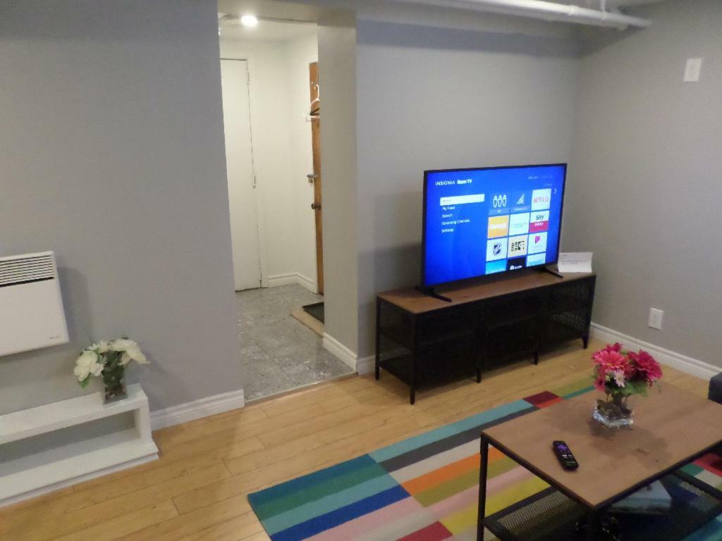 Fantastic And Modern Downtown 1-Bed Basement Apt., Parking Wi-Fi And Netflix Included Оттава Экстерьер фото