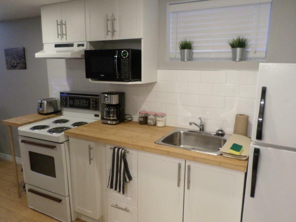 Fantastic And Modern Downtown 1-Bed Basement Apt., Parking Wi-Fi And Netflix Included Оттава Экстерьер фото